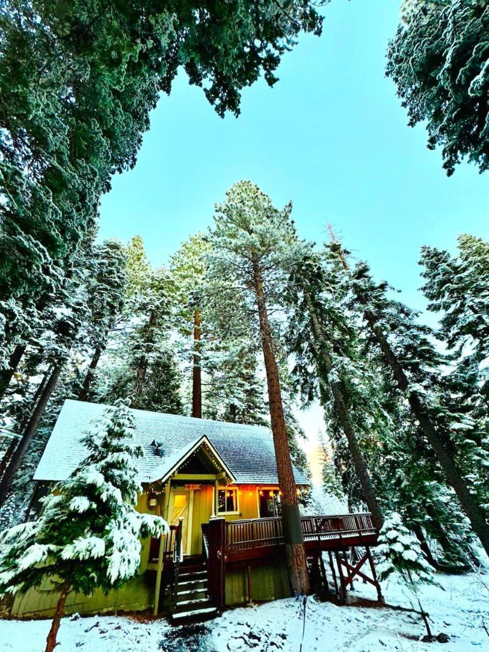 The Honey Bear Cabin Carnelian Bay Exteriör bild