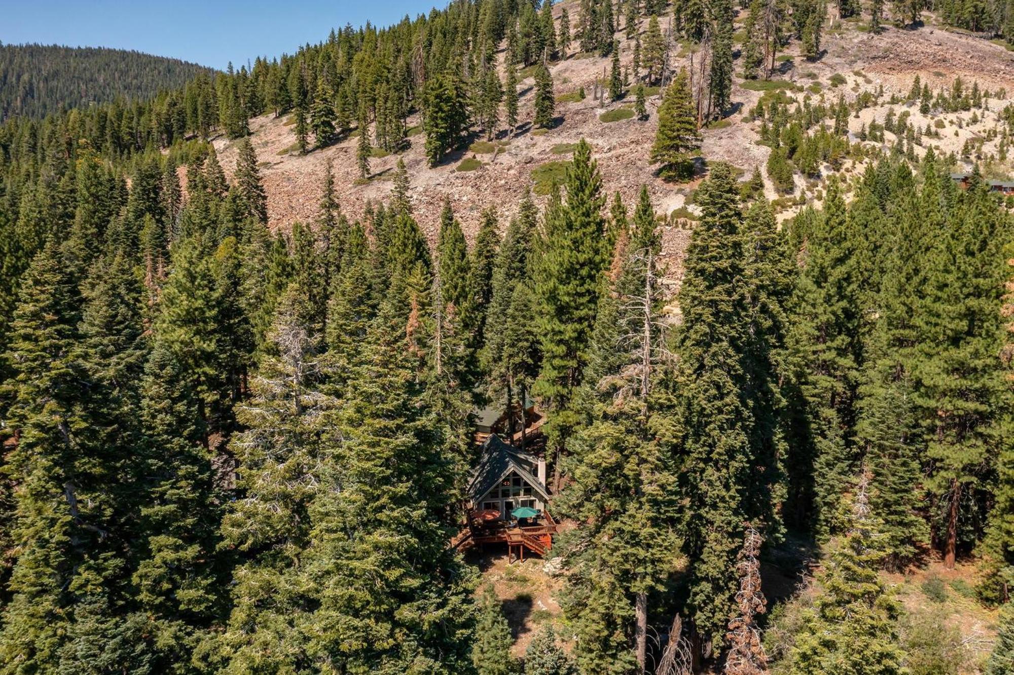 The Honey Bear Cabin Carnelian Bay Exteriör bild